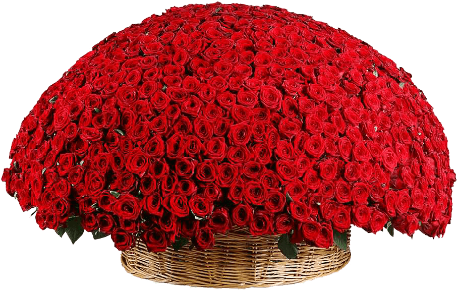 1001 роза в корзине