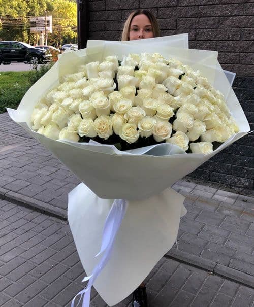 101 белая голландская роза — купить в Краснодаре