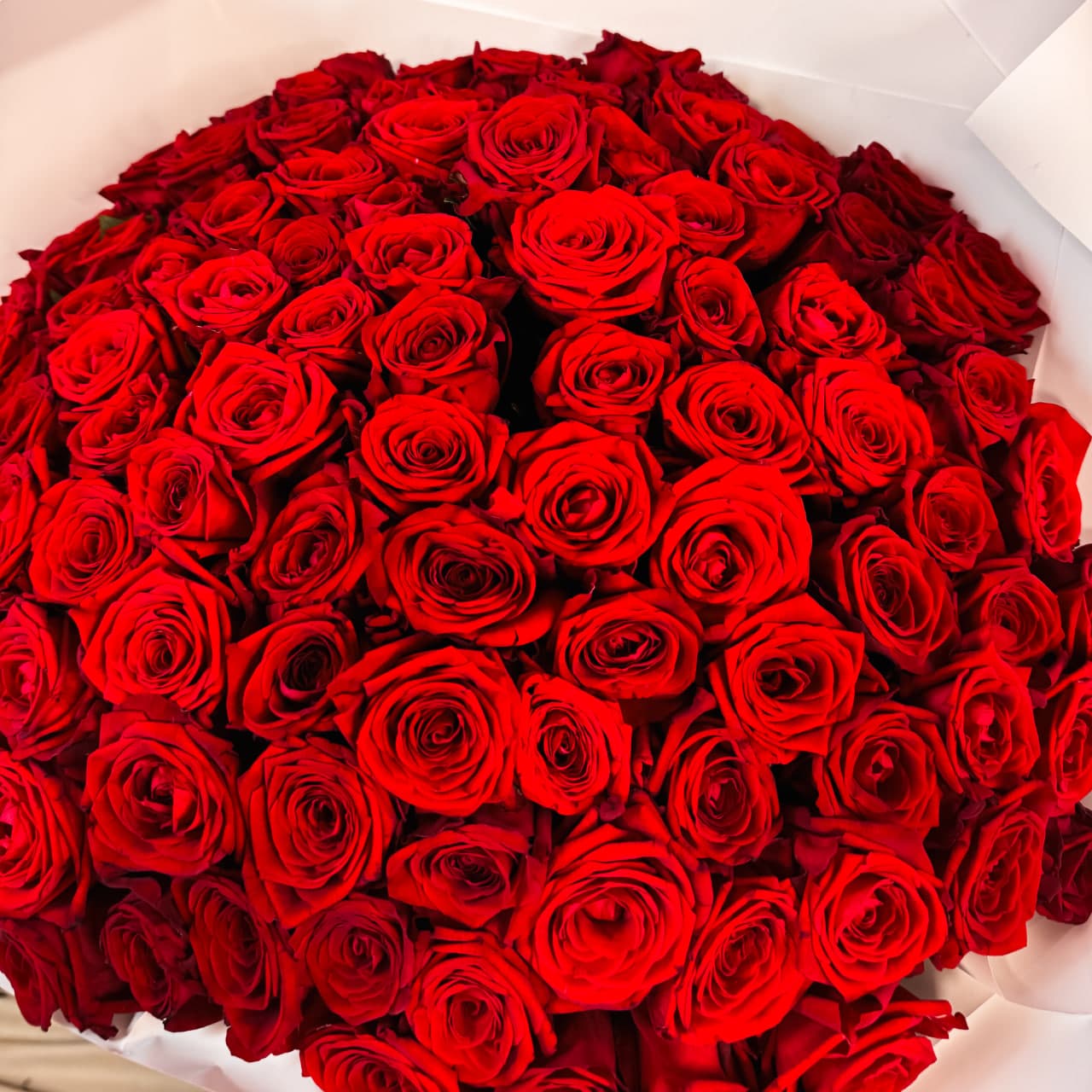 101 красная роза (цвет на выбор) — фото 3 — купить в Сочи — фото 3