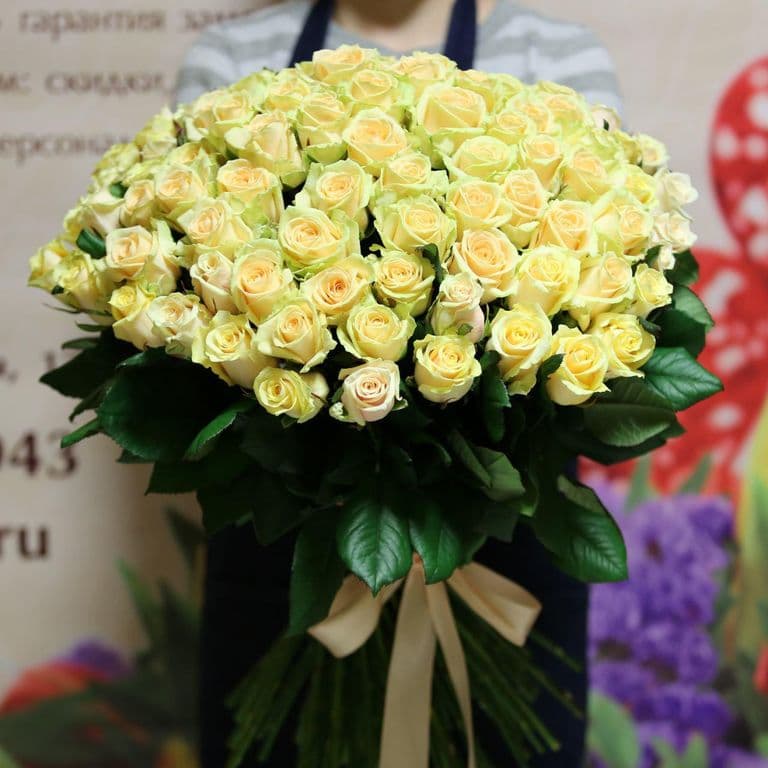 101 кремовая роза