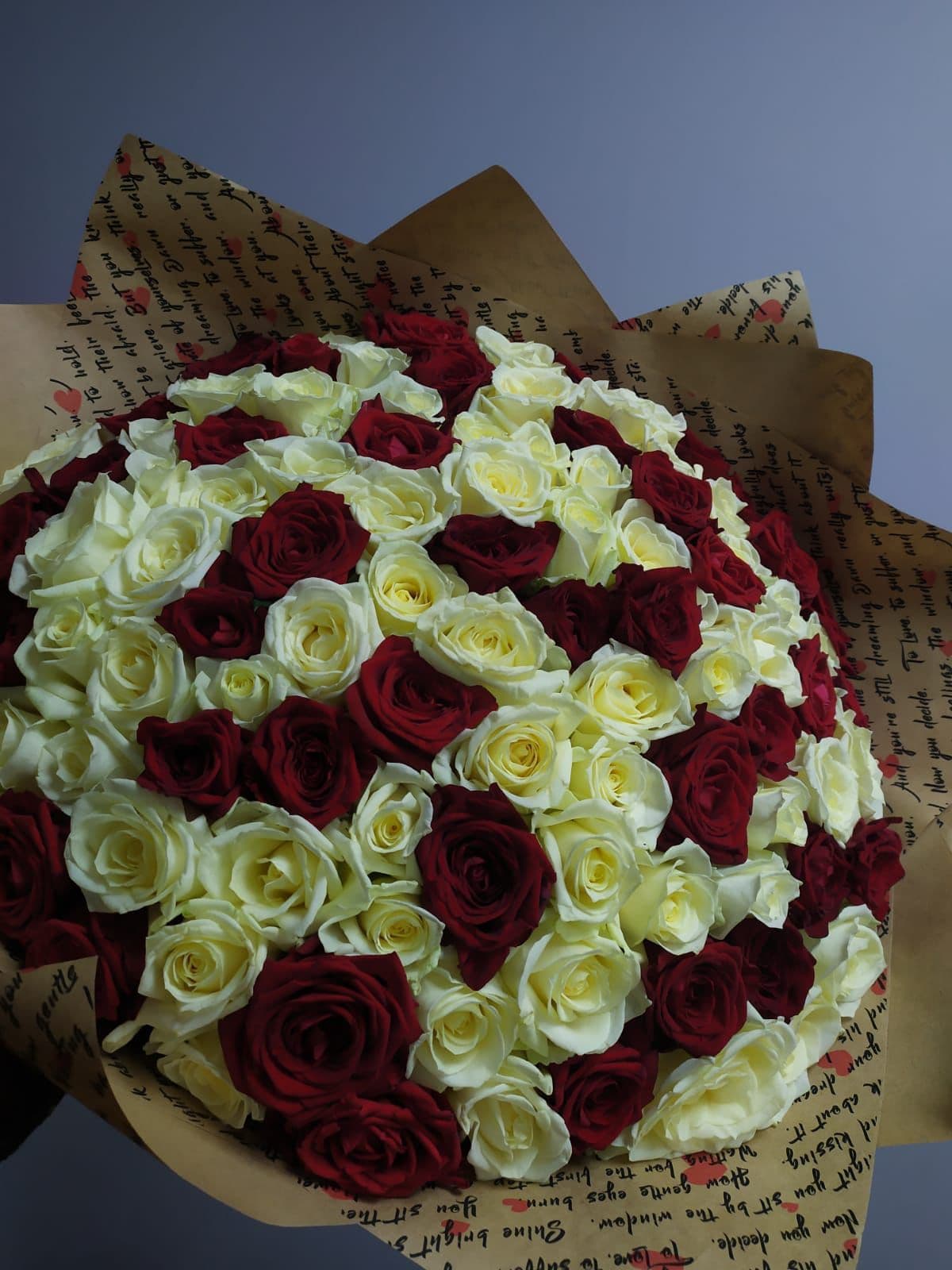 101 роза красная и белая