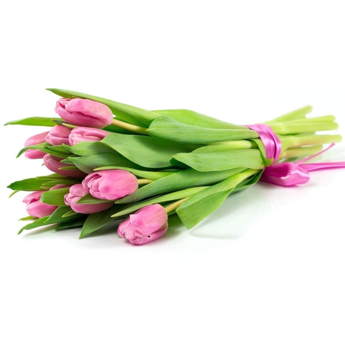 11 тюльпанов