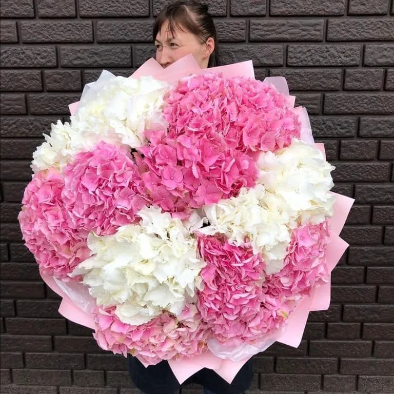 15 бело-розовых гортензий — купить в Волгограде