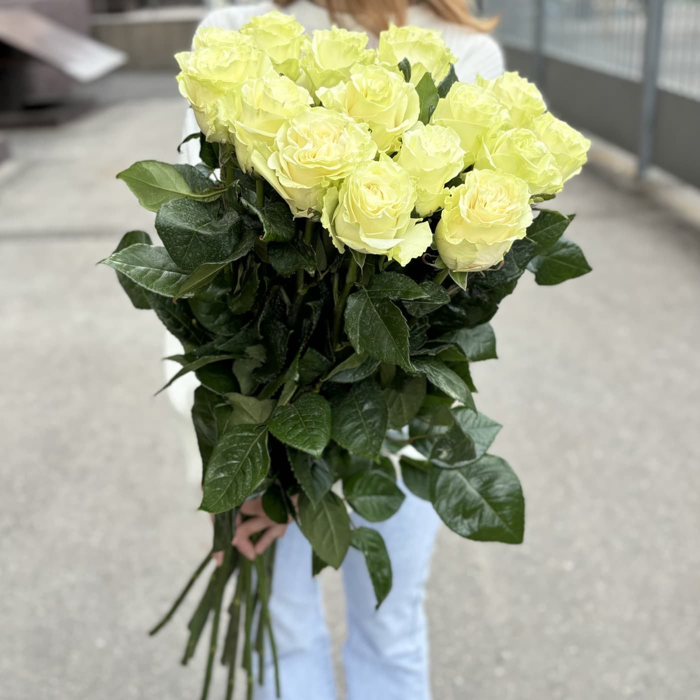 15 белых эквадорских роз 80 см — фото 2 — купить в Сочи — фото 2