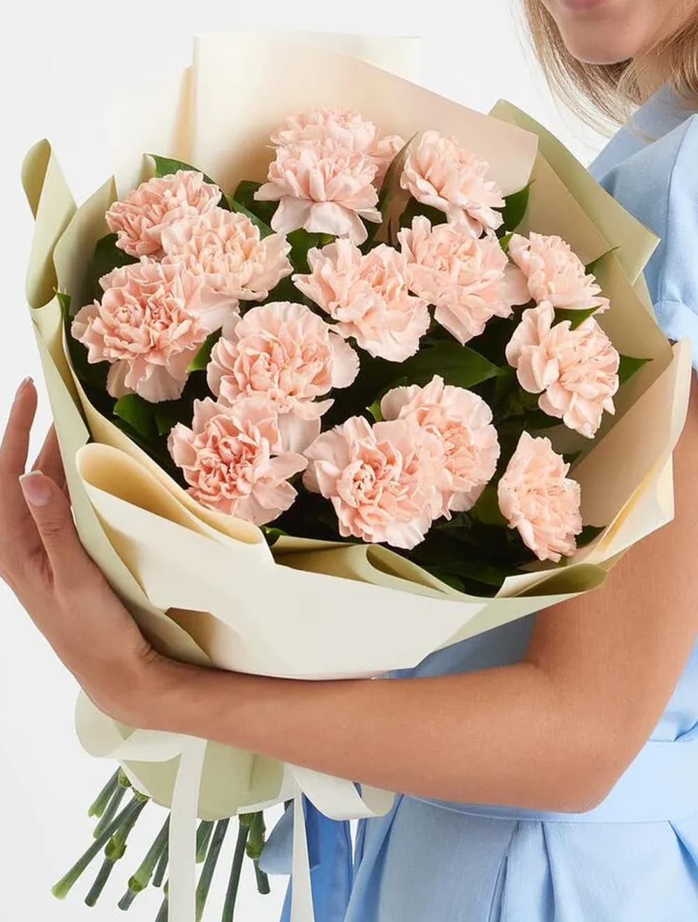 15 кремовых диантусов — фото 1 — купить в Сочи