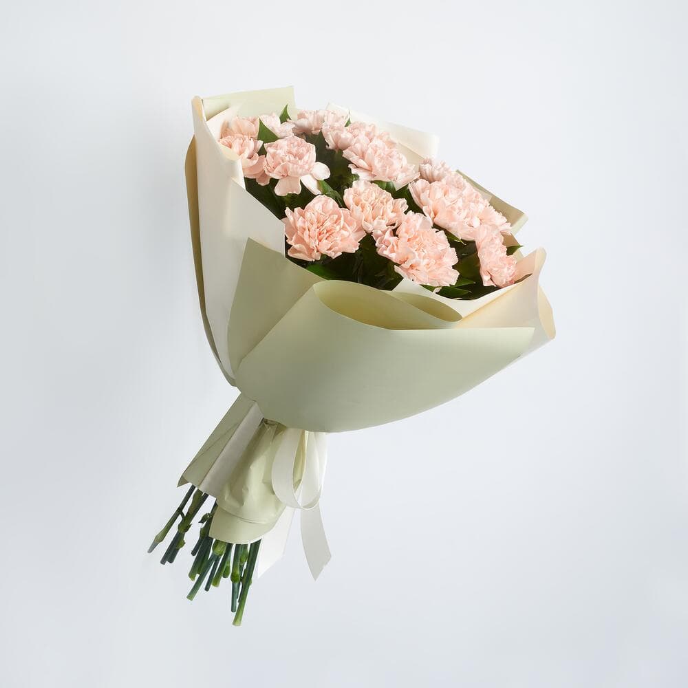 15 кремовых диантусов — фото 3 — купить в Волгограде — фото 3