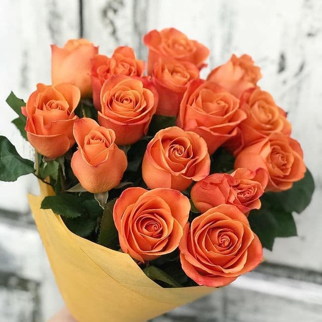 15 оранжевых роз — купить в Волгограде