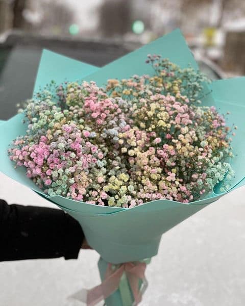 15 веток гипсофилы — купить в Волгограде