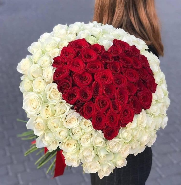 151 РОЗА — купить в Волгограде