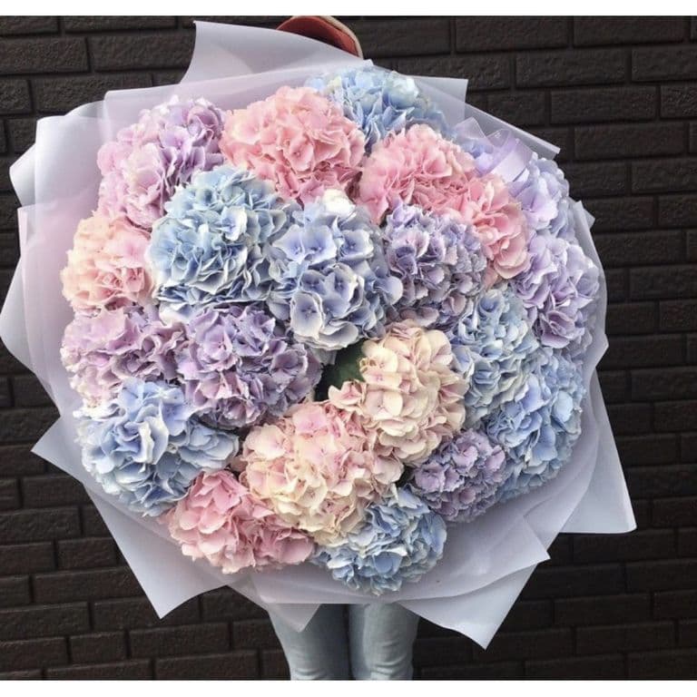 19 гортензий (цвет на выбор) — купить в Волгограде