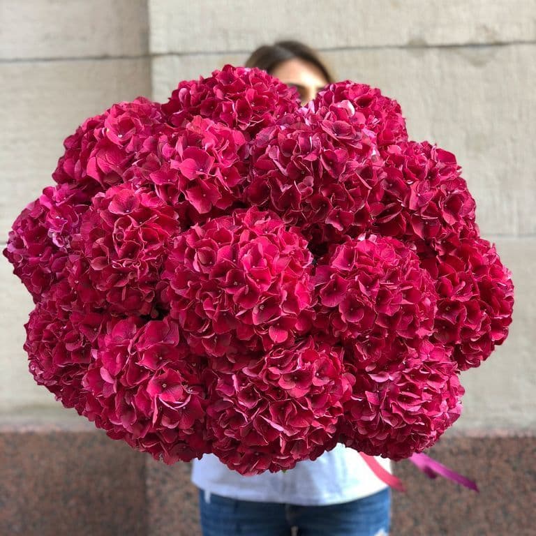 19 красных гортензий — купить в Краснодаре