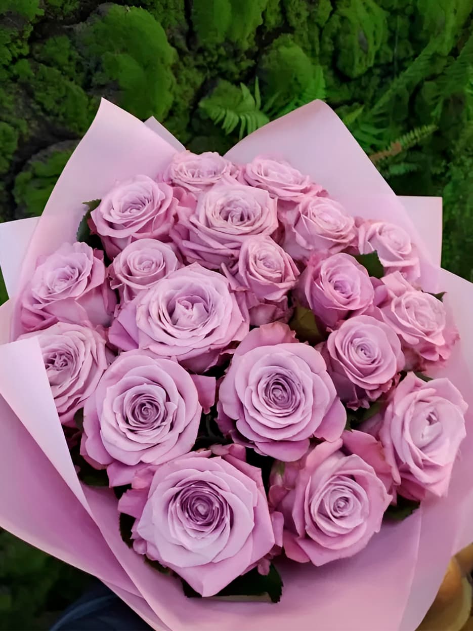 19 ЛИЛОВЫХ РОЗ — купить в Волгограде
