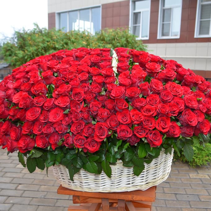 201 роза в корзине