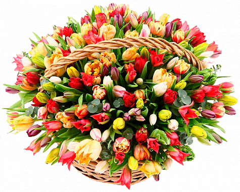 201 тюльпан в корзине
