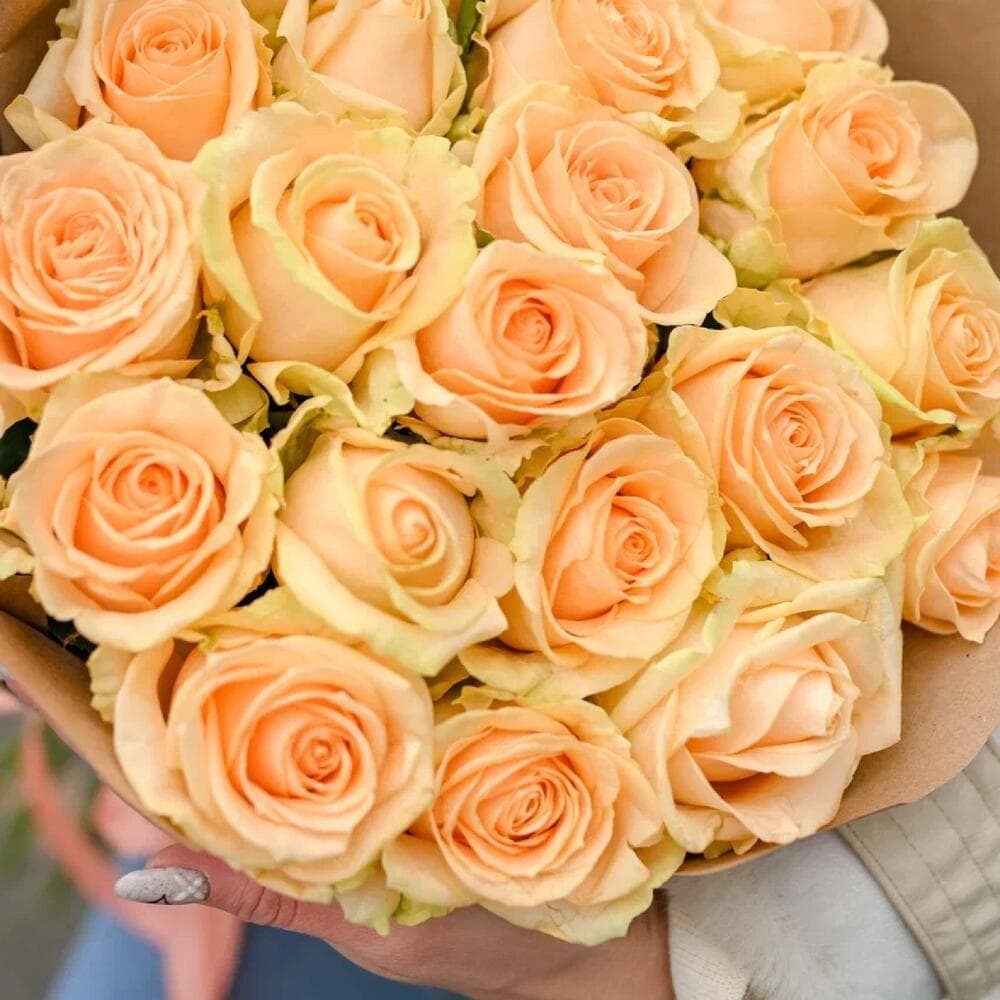 21 персиковая роза — фото 3 — купить в Краснодаре — фото 3