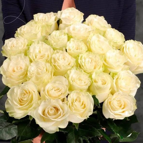 25 белых голландских роз "макси" — фото 2 — купить в Волгограде — фото 2
