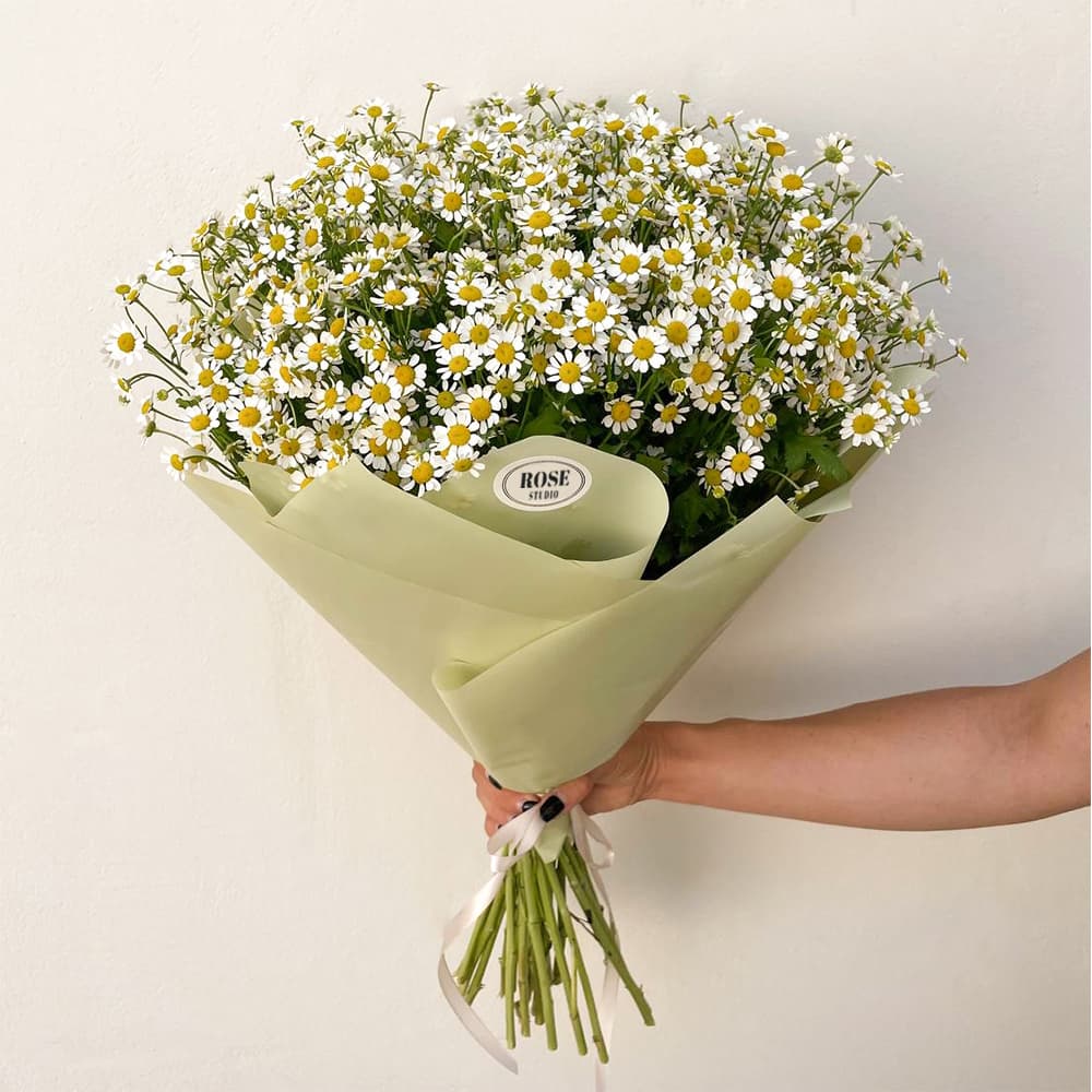 25 кустовых ромашек — фото 1 — купить в Волгограде