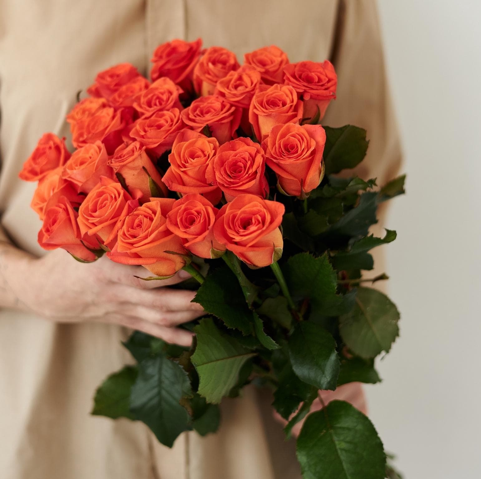 25 оранжевых роз — купить в Сочи