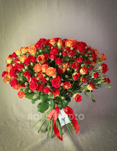 27 кустовых роз "Флоренция" — купить в Краснодаре