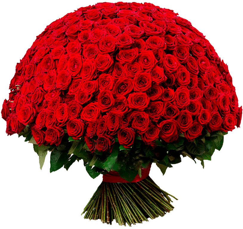 301 РОЗА 70СМ — купить в Волгограде