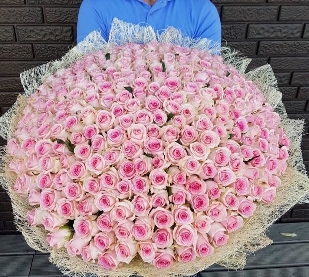 301 роза Rose&White — купить в Краснодаре