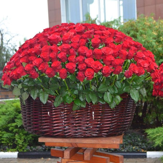 301 роза в корзине