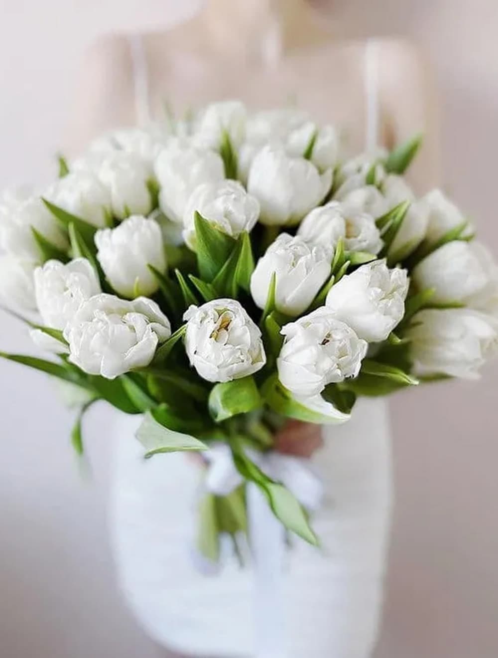 31 белый тюльпан — фото 1 — купить в Сочи
