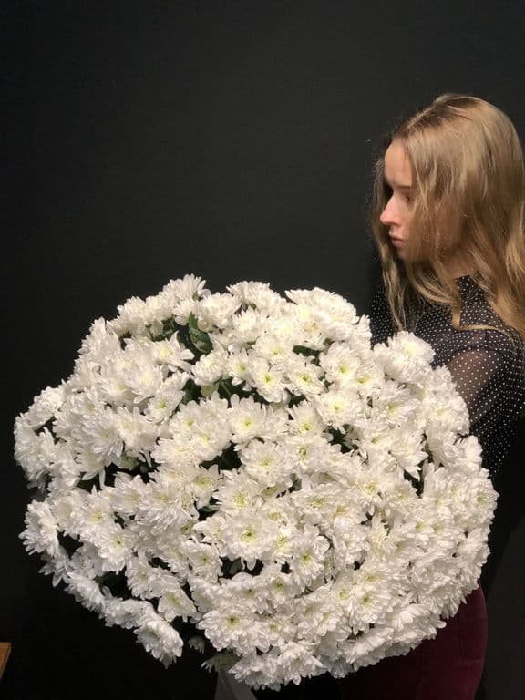 31 ХРИЗАНТЕМА — купить в Волгограде