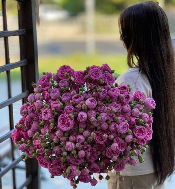 31 КУСТОВАЯ ПИОНОВИДНАЯ РОЗА — купить в Волгограде