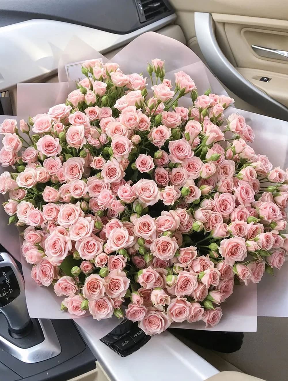 31 кустовая роза — купить в Сочи