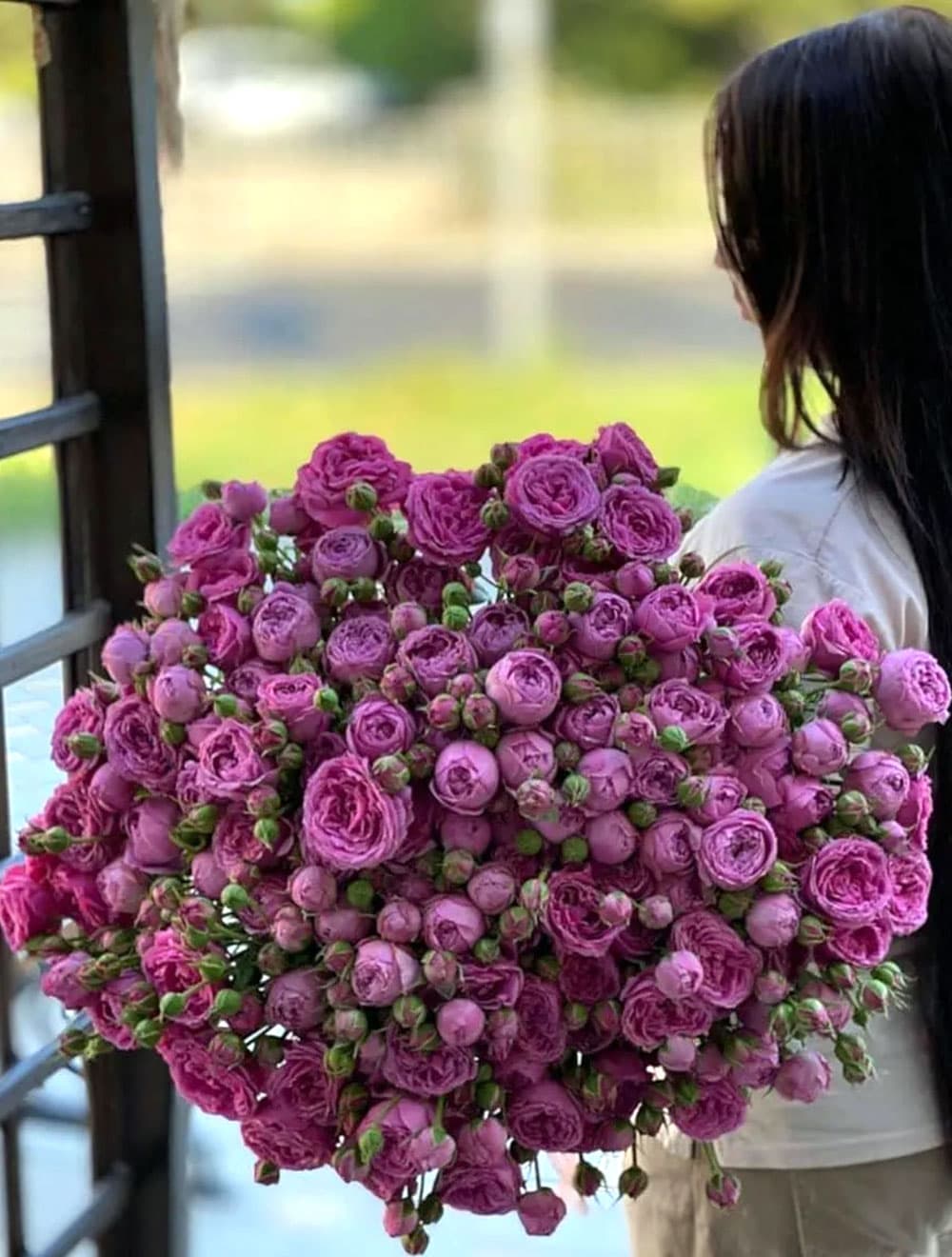 31 пионовидная роза Misty Bubbles — купить в Сочи