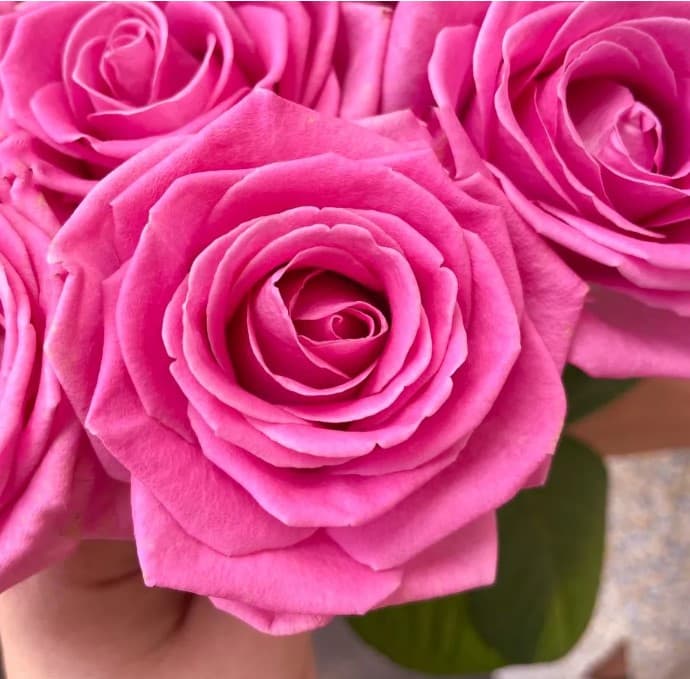 35 розовых роз — фото 2 — купить в Краснодаре — фото 2