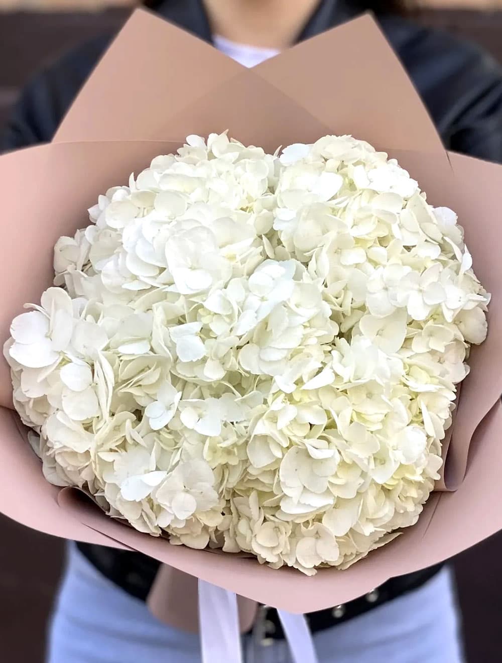 5 белых гортензий — фото 1 — купить в Сочи
