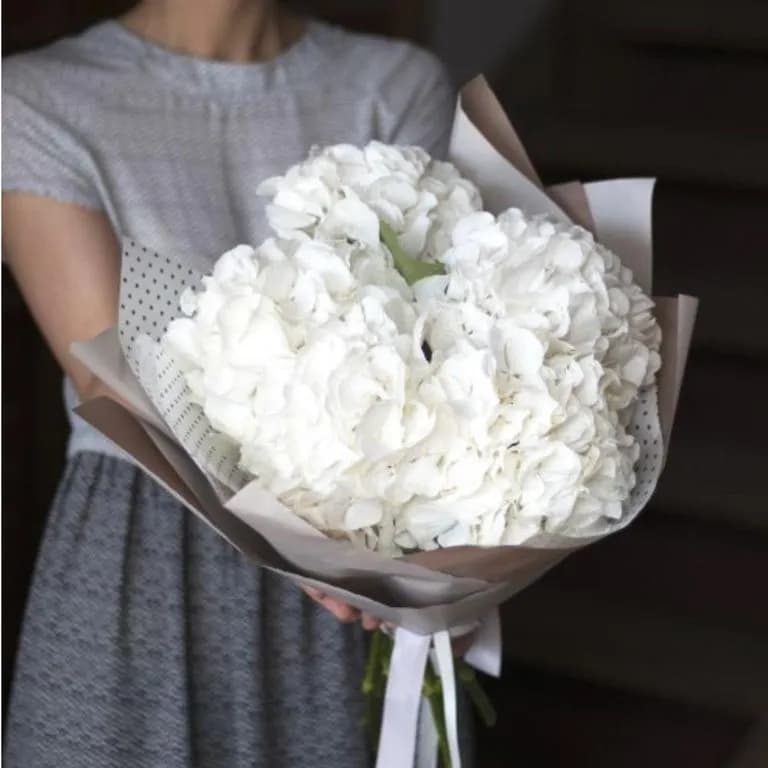 5 белых гортензий — купить в Волгограде