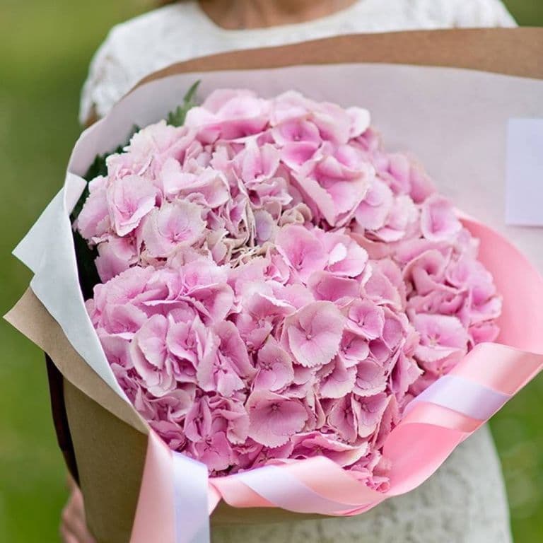 5 гортензий (цвет на выбор) — купить в Волгограде