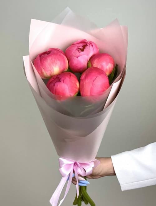 5 коралловых пионов — фото 1 — купить в Сочи