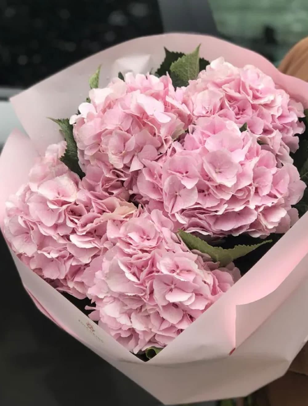 5 розовых гортензий (цвет на выбор) — фото 1 — купить в Сочи