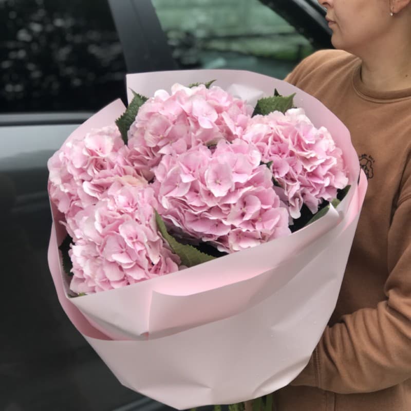 5 розовых гортензий (цвет на выбор) — фото 2 — купить в Сочи — фото 2