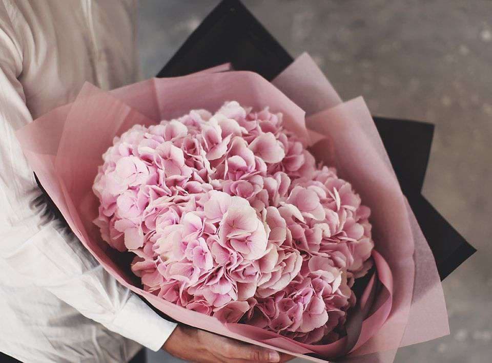 5 розовых гортензий в черном — купить в Краснодаре