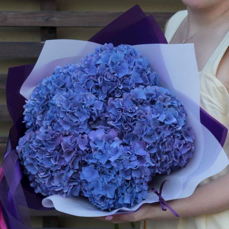5 синих гортензий — купить в Краснодаре