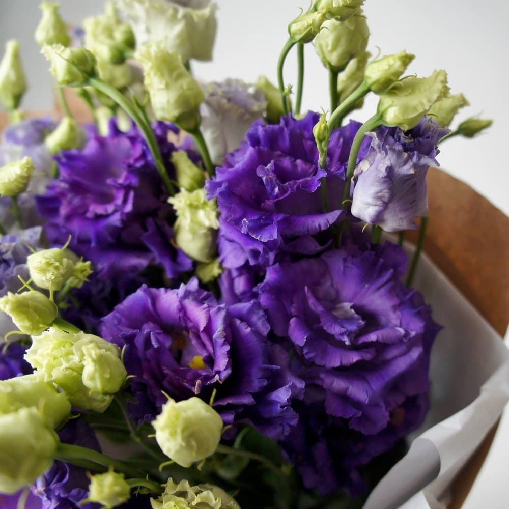 5 веток эустомы (цвет на выбор) — фото 3 — купить в Сочи — фото 3