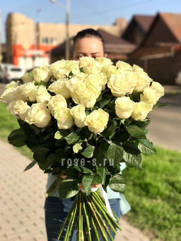 51 БЕЛАЯ ГОЛЛАНДСКАЯ РОЗА — купить в Волгограде