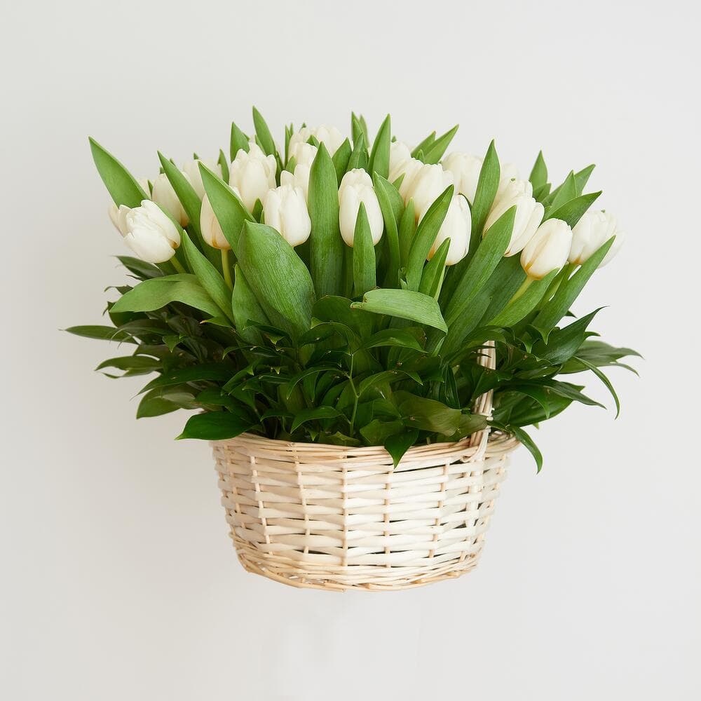 51 белый тюльпан в корзине — фото 3 — купить в Краснодаре — фото 3