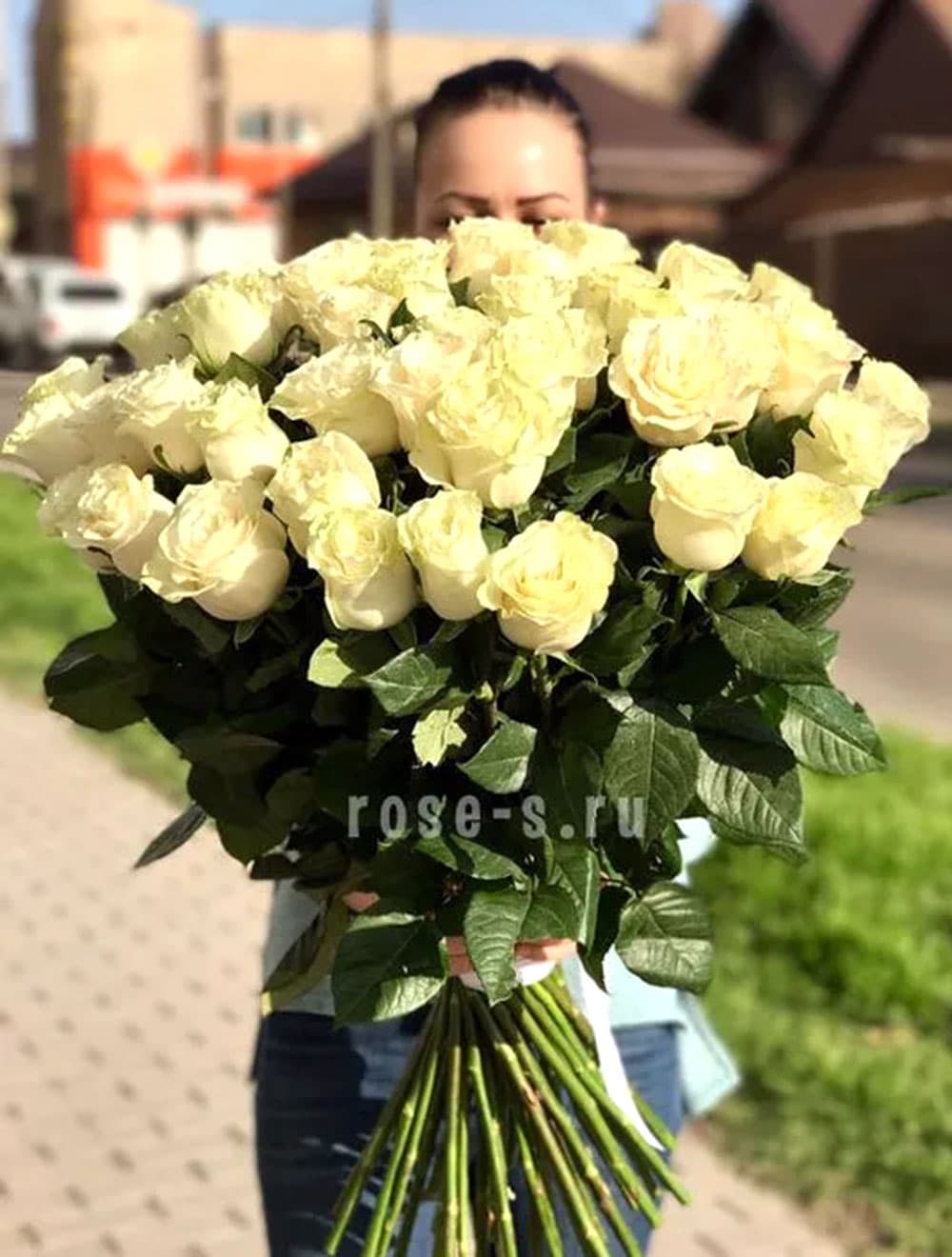 51 эквадорская роза (цвет на выбор) — купить в Сочи