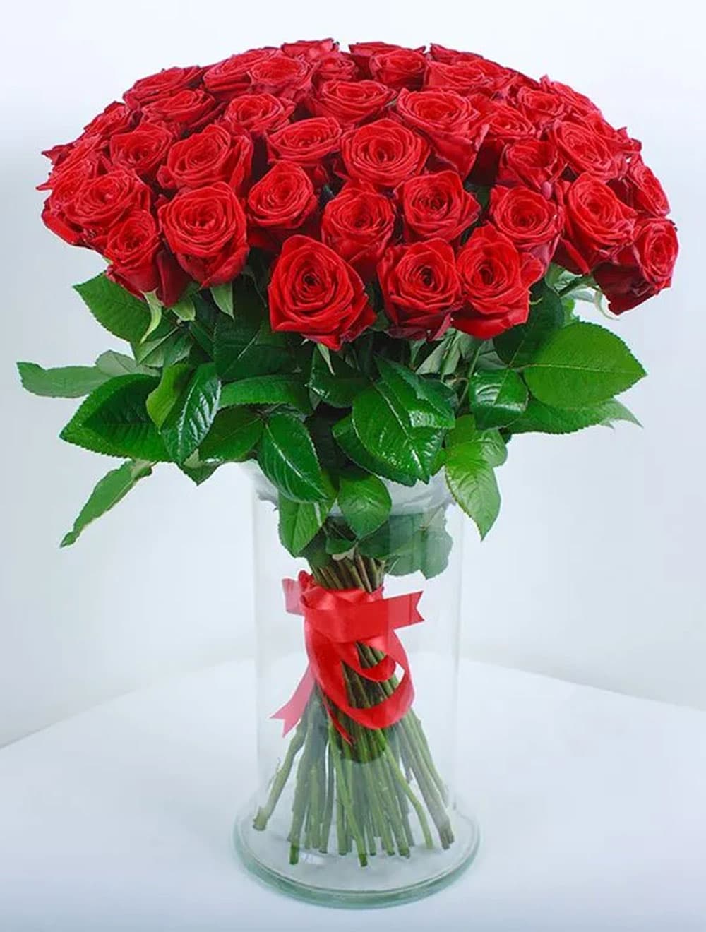 51 красная роза "Red" — купить в Ростове-на-Дону