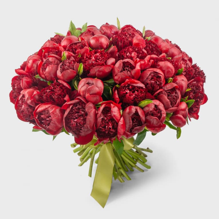 51 красный пион