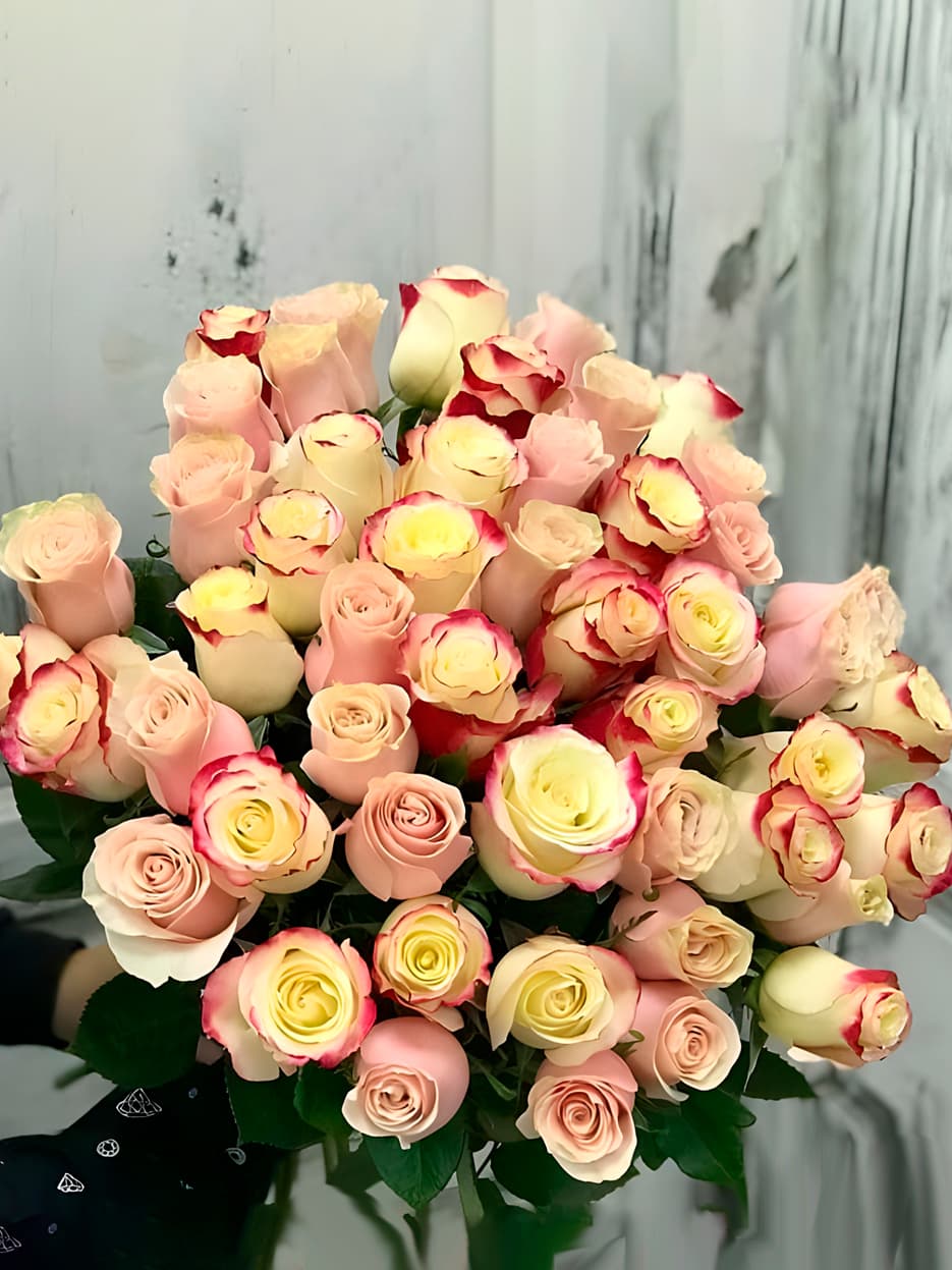 51 нежно-розовая роза голландия 70см — купить в Краснодаре