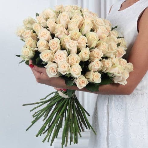 51 роза "Talea" — купить в Краснодаре