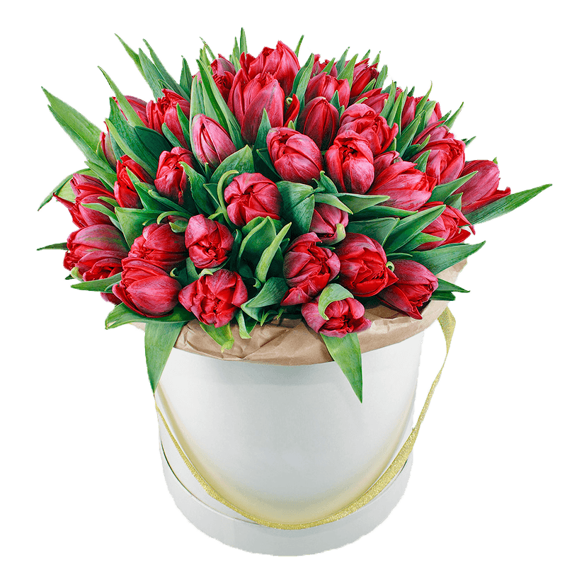 51 тюльпан в шляпной коробке