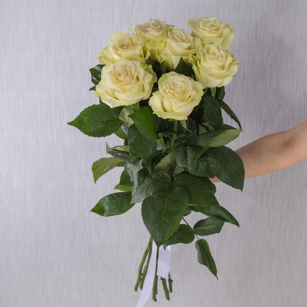 7 белых голландских роз 80 см — фото 2 — купить в Краснодаре — фото 2